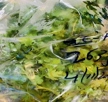 screenshot 43