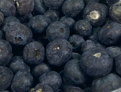 screenshot 51