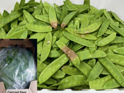 screenshot 71